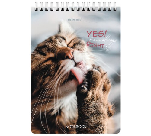 Блокнот А5 (146х206 мм), 80 л., гребень, картон, клетка, BRAUBERG, 