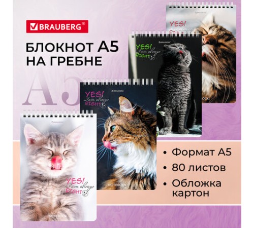 Блокнот А5 (146х206 мм), 80 л., гребень, картон, клетка, BRAUBERG, 