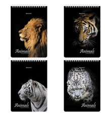 Блокнот А5 (146х206 мм), 80 л., гребень, картон, жесткая подложка, клетка, BRAUBERG, 