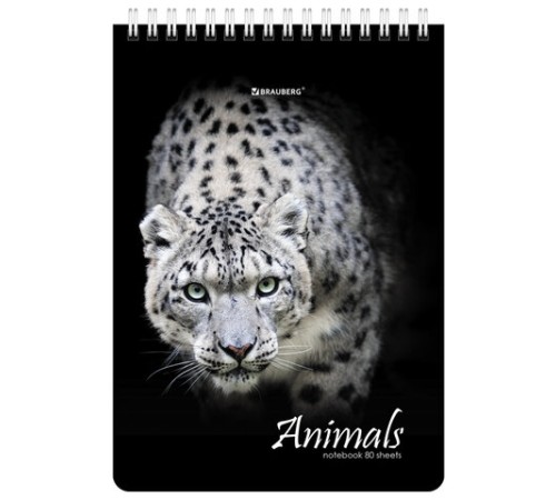 Блокнот А5 (146х206 мм), 80 л., гребень, картон, жесткая подложка, клетка, BRAUBERG, 