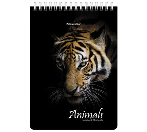 Блокнот А5 (146х206 мм), 80 л., гребень, картон, жесткая подложка, клетка, BRAUBERG, 