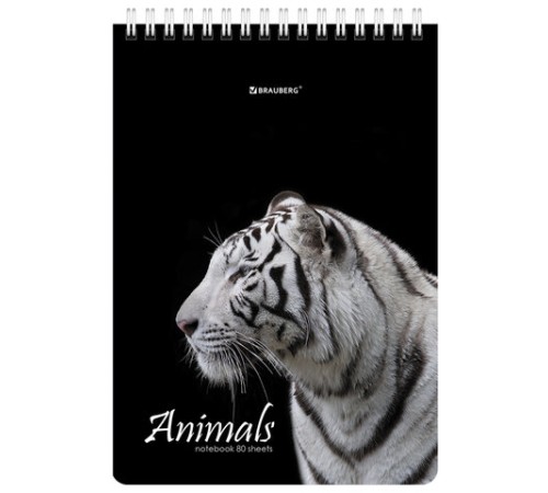 Блокнот А5 (146х206 мм), 80 л., гребень, картон, жесткая подложка, клетка, BRAUBERG, 