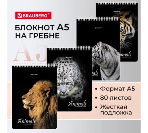 Блокнот А5 (146х206 мм), 80 л., гребень, картон, жесткая подложка, клетка, BRAUBERG, 
