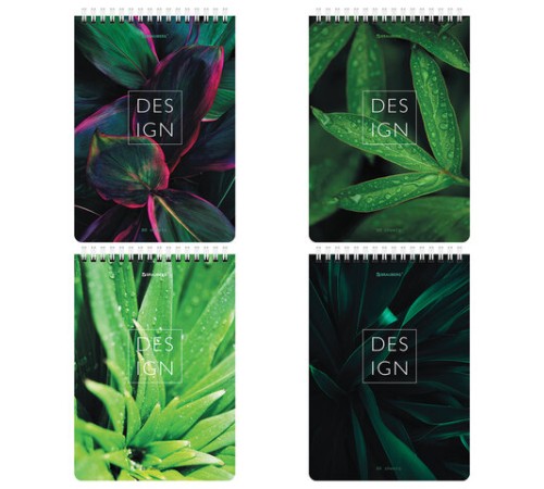 Блокнот А5 (146х206 мм), 80 л., гребень, картон, жесткая подложка, клетка, BRAUBERG, 