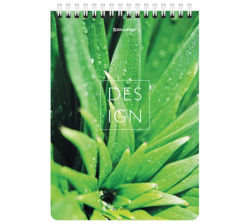 Блокнот А5 (146х206 мм), 80 л., гребень, картон, жесткая подложка, клетка, BRAUBERG, 