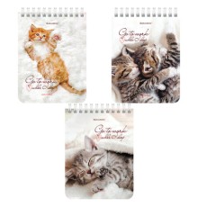 Блокнот МАЛЫЙ ФОРМАТ А6 108х145 мм, 40 л., гребень, картон, клетка, BRAUBERG, 