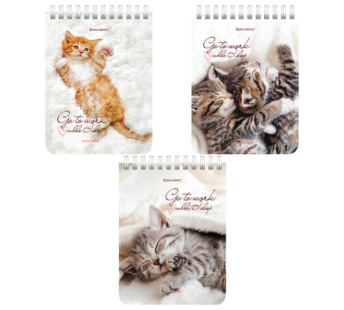 Блокнот МАЛЫЙ ФОРМАТ А6 108х145 мм, 40 л., гребень, картон, клетка, BRAUBERG, 