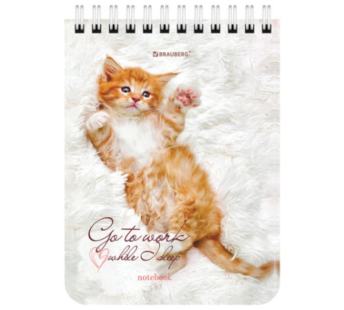 Блокнот МАЛЫЙ ФОРМАТ А6 108х145 мм, 40 л., гребень, картон, клетка, BRAUBERG, 