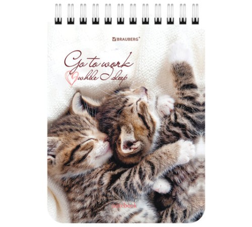 Блокнот МАЛЫЙ ФОРМАТ А6 108х145 мм, 40 л., гребень, картон, клетка, BRAUBERG, 