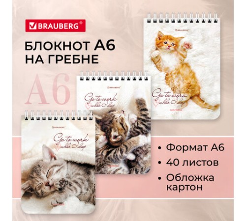 Блокнот МАЛЫЙ ФОРМАТ А6 108х145 мм, 40 л., гребень, картон, клетка, BRAUBERG, 