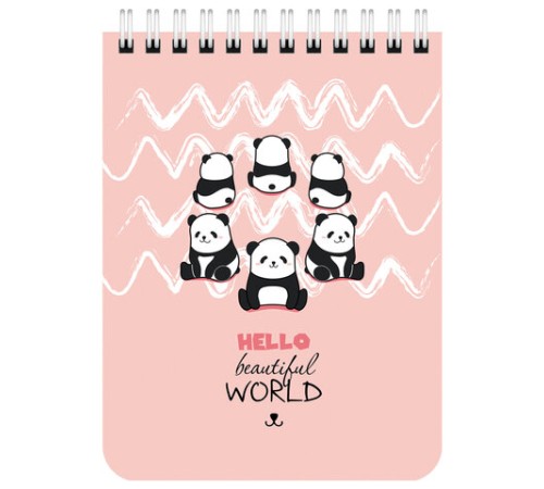 Блокнот МАЛЫЙ ФОРМАТ А6 108х145 мм, 40 л., гребень, картон, клетка, BRAUBERG KIDS, 