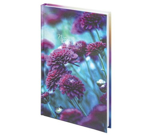 Блокнот А5 (134х206 мм), 80 л., твёрдый, клетка, STAFF, 