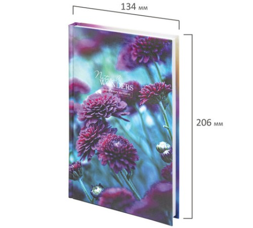 Блокнот А5 (134х206 мм), 80 л., твёрдый, клетка, STAFF, 