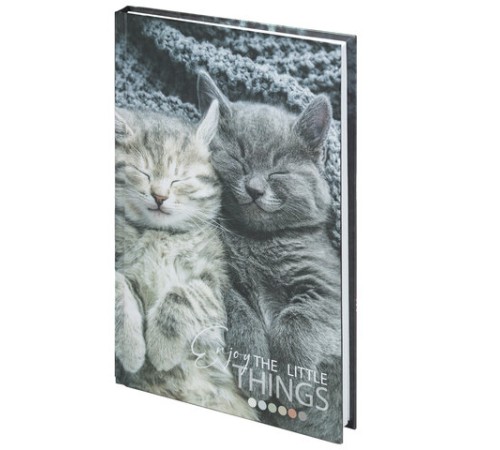 Блокнот А5 (134х206 мм), 80 л., твёрдый, клетка, STAFF, 