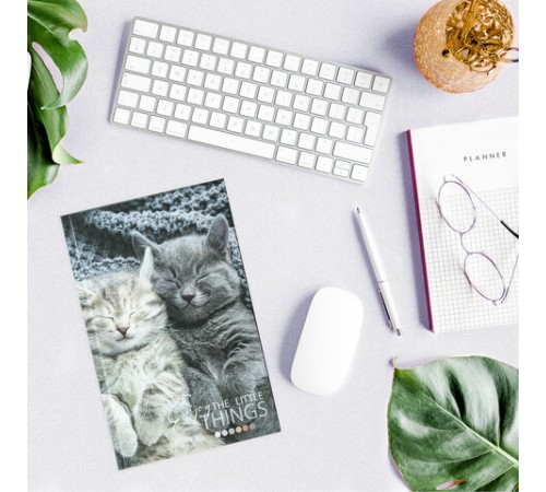 Блокнот А5 (134х206 мм), 80 л., твёрдый, клетка, STAFF, 