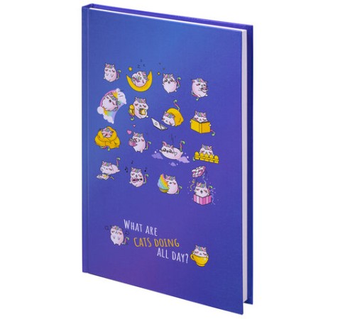 Блокнот А5 (134х206 мм), 80 л., твёрдый, клетка, BRAUBERG KIDS, 