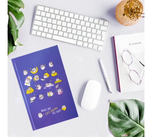 Блокнот А5 (134х206 мм), 80 л., твёрдый, клетка, BRAUBERG KIDS, 