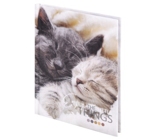 Блокнот МАЛЫЙ ФОРМАТ (110х147 мм), А6, 80 л., твёрдый, клетка, STAFF, 