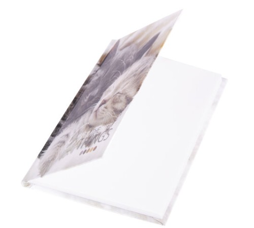 Блокнот МАЛЫЙ ФОРМАТ (110х147 мм), А6, 80 л., твёрдый, клетка, STAFF, 