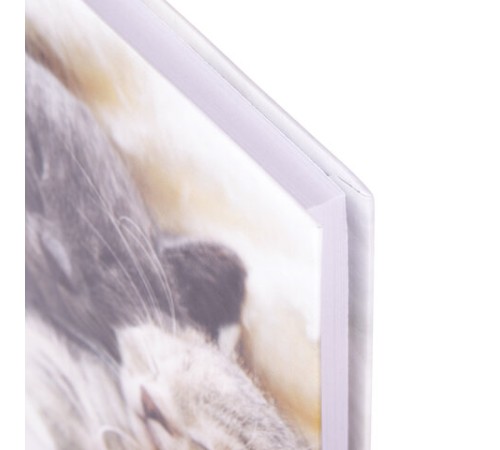 Блокнот МАЛЫЙ ФОРМАТ (110х147 мм), А6, 80 л., твёрдый, клетка, STAFF, 