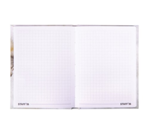 Блокнот МАЛЫЙ ФОРМАТ (110х147 мм), А6, 80 л., твёрдый, клетка, STAFF, 