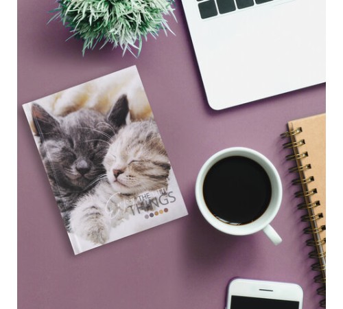 Блокнот МАЛЫЙ ФОРМАТ (110х147 мм), А6, 80 л., твёрдый, клетка, STAFF, 