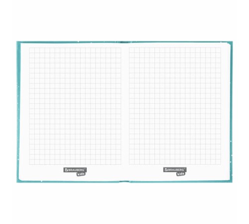 Блокнот МАЛЫЙ ФОРМАТ (110х147 мм), А6, 80 л., твёрдый, клетка, BRAUBERG KIDS, 