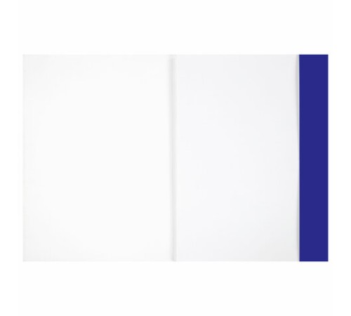 Бумага для рисования и графики в папке А4, 20 л., 200 г/м2, ВАТМАН ГОЗНАК, BRAUBERG ART CLASSIC, 114492