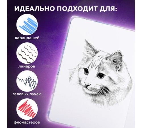 Скетчбук, белая бумага 80 г/м2, 145х203 мм, 80 л., резинка, твердый, BRAUBERG ART DEBUT 