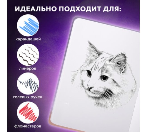 Скетчбук, белая бумага 80 г/м2, 145х203 мм, 80 л., резинка, твердый, BRAUBERG ART DEBUT 