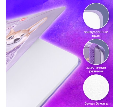 Скетчбук, белая бумага 80 г/м2, 145х203 мм, 80 л., резинка, твердый, BRAUBERG ART DEBUT 