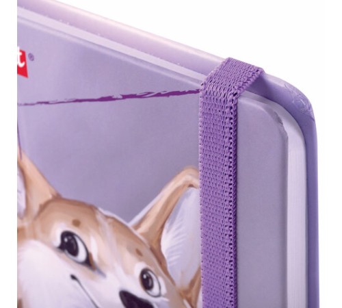 Скетчбук, белая бумага 80 г/м2, 145х203 мм, 80 л., резинка, твердый, BRAUBERG ART DEBUT 