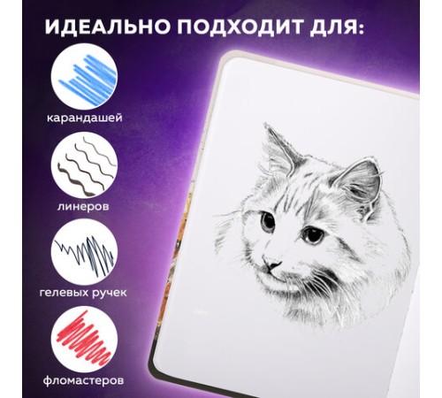 Скетчбук, белая бумага 80 г/м2, 145х203 мм, 80 л., резинка, твердый, BRAUBERG ART DEBUT 