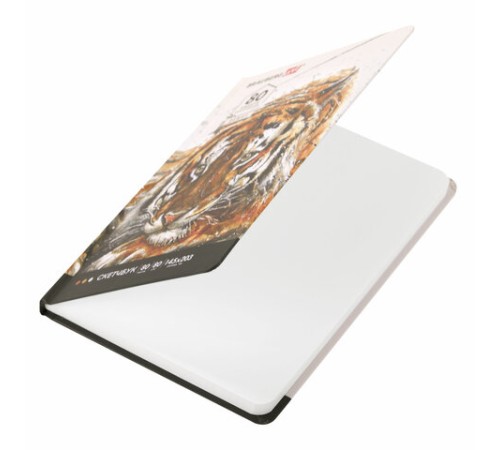 Скетчбук, белая бумага 80 г/м2, 145х203 мм, 80 л., резинка, твердый, BRAUBERG ART DEBUT 