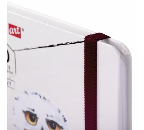 Скетчбук, белая бумага 80 г/м2, 145х203 мм, 80 л., резинка, твердый, BRAUBERG ART DEBUT 