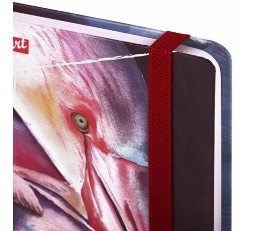 Скетчбук, белая бумага 120 г/м2, 145х203 мм, 80 л., резинка, твердый, BRAUBERG ART DEBUT 