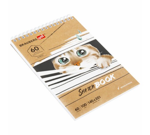 Скетчбук, белая бумага 100 г/м2, 140х201 мм, 60 л., гребень, жёсткая подложка, BRAUBERG ART DEBUT, 