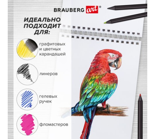 Скетчбук, белая бумага 100 г/м2, 140х201 мм, 60 л., гребень, подложка, BRAUBERG ART DEBUT, 
