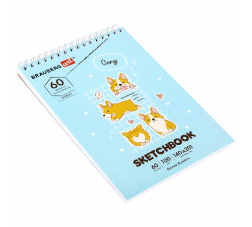 Скетчбук, белая бумага 100 г/м2, 140х201 мм, 60 л., гребень, жёсткая подложка, BRAUBERG ART DEBUT, 