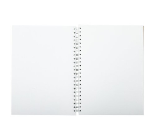 Скетчбук, 4 типа бумаги (акварельная, белая, черная, крафт) 146х204 мм, 60 л., гребень, BRAUBERG ART DEBUT, АНИМЕ, 115066 