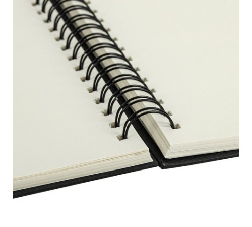 Скетчбук, слоновая кость 100 г/м2, 148х210 мм, 80 л., гребень, твердая обложка, BRAUBERG ART PREMIERE, 115109 