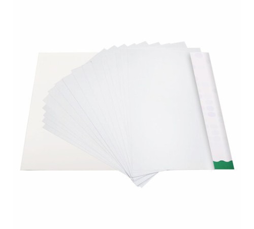 Картон белый А4 МЕЛОВАННЫЙ (белый оборот), 20 листов, в папке, BRAUBERG KIDS, 203х283 мм, 115160