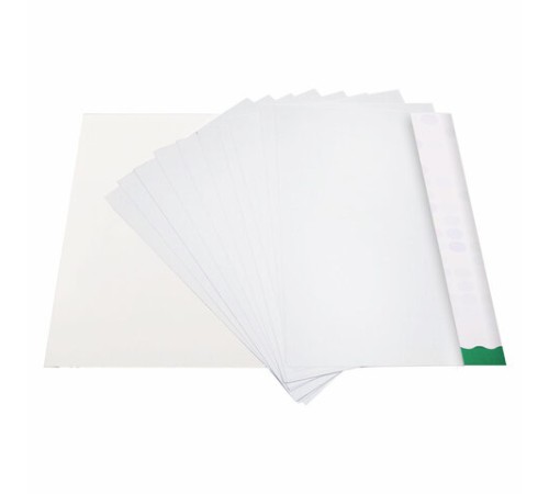 Картон белый А4 МЕЛОВАННЫЙ (белый оборот), 10 листов, в папке, BRAUBERG KIDS, 200х283, 115161