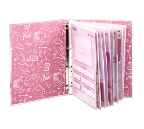 Папка-портфолио школьника 