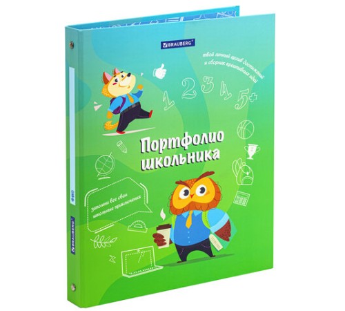 Папка-портфолио школьника 