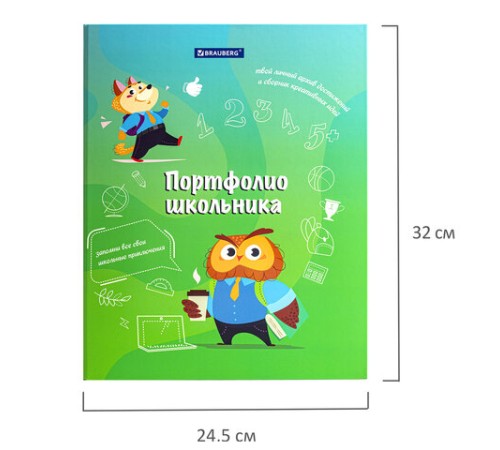 Папка-портфолио школьника 