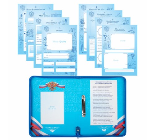 Папка-портфолио школьника, А4, на молнии, 8 вкладышей, обложка твердая, СИМВОЛИКА, BRAUBERG, 115243