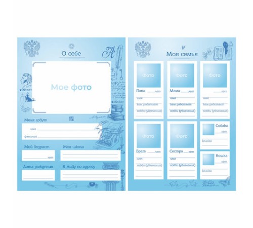 Папка-портфолио школьника, А4, на молнии, 8 вкладышей, обложка твердая, СИМВОЛИКА, BRAUBERG, 115243