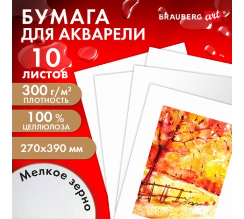 Бумага для акварели 300 г, 270x390 мм, мелкое зерно, 10 листов, BRAUBERG ART PREMIERE, 115334