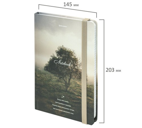 Блокнот с резинкой в клетку 96 л., А5 145х203 мм, твердая обложка, BRAUBERG, 